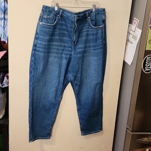 American Eagle jeans size 20S